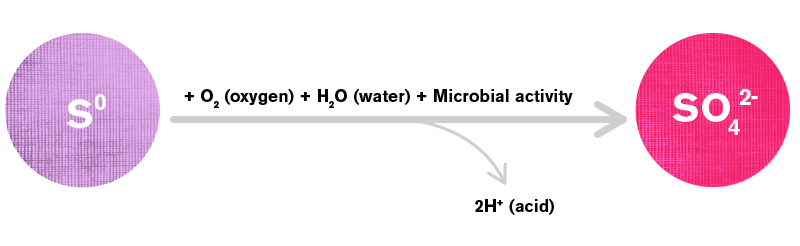 Figure 1: The reaction of elemental S (S⁰) oxidation in soils to sulfate (SO₄²⁻).