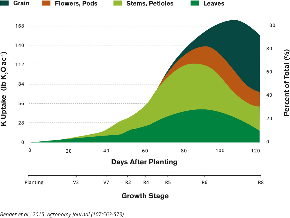 Growth Stages - Days After Planting With K
