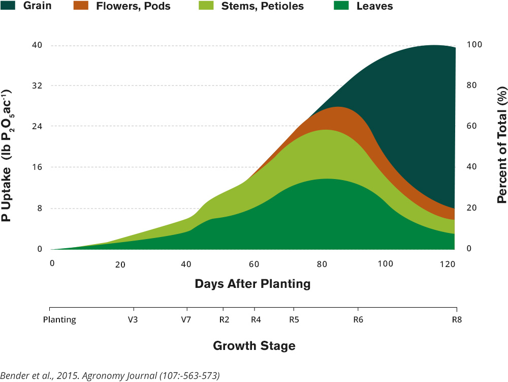 Growth Stages - Days After Planting