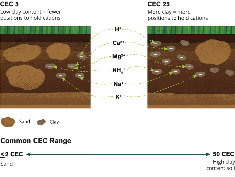 cec-soil-analysis
